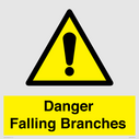 danger-falling-branches~